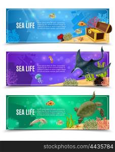 Sea Life Banner Set. Variants of underwater sea life and seabed decorative banner set vector illustration