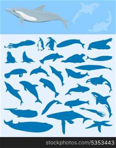 Sea mammals2. Set of silhouettes on a sea theme. A vector illustration