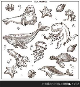 Sea or ocean animals and fishes sketch. Vector isolated cartoon seal, whale and octopus or squid, turtle or dolphin and beadlet anemone with coral, jellyfish or starfish and seashells for oceanarium. Sea and ocean animals or fish vector sketch