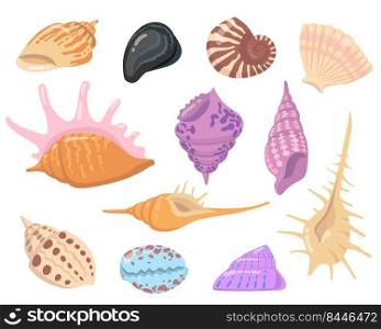 Sea or ocean shell objects flat illustration set. Cartoon colorful seashells on white background isolated vector illustration collection. Water nature and decoration concept