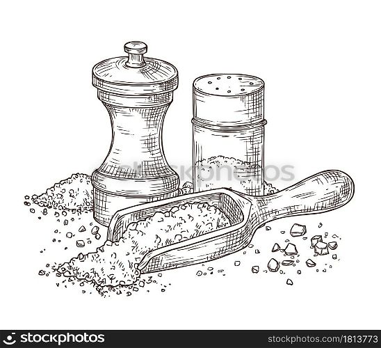 Sea salt. Sketch seasoning, engraving pepper shaker and spoon with powder. Glass packing, spice kitchenware ingredients vector illustration. Spice salt and pepper to cooking, ingredient sketch. Sea salt. Sketch seasoning, engraving pepper shaker and spoon with powder. Glass packing, spice kitchenware ingredients vector illustration