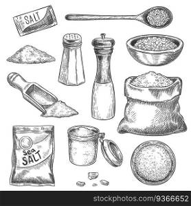Sea salt. Sketch vintage hand mill with spice and seasoning. Engraved jar, spoon and bags with organic salt crystals for cooking, vector set. Sea salt sketch, spoon kitchen to cook illustration. Sea salt. Sketch vintage hand mill with spice and seasoning. Engraved jar, spoon and bags with organic salt crystals for cooking, vector set