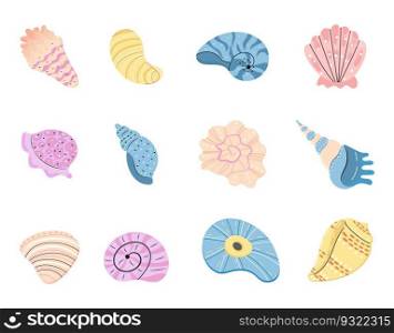 Sea schell, conches of sea snail vector set. Colorful shell, ocean conch, rief or sea mollusk.. Sea schell, conches of sea snail vector.Colorful shell, ocean conch, rief