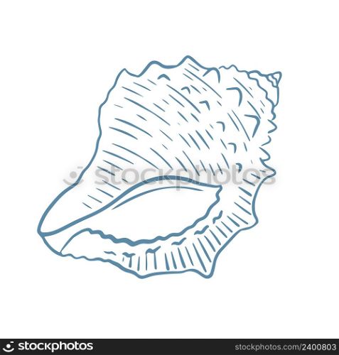 Sea shell hand drawn engraving vector illustration. Sketch single oceanic mollusk. Sea underwater inhabitant isolated object. Sea shell hand drawn engraving vector illustration