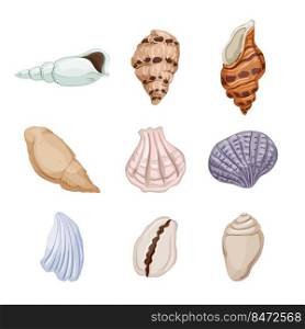 sea shell set cartoon. beach seashell, summer ocean, marine conch, snail clam, decoration sea shell vector illustration. sea shell set cartoon vector illustration