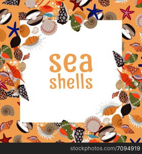 Sea shells background with square frame and text. Vector illustration. Sea shells background with square frame