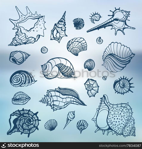 Sea shells collection. Hand drawn vector illustration. Sea background.