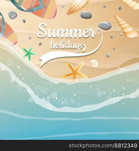 Sea shells, starfish on the beach. Summer holidays. plus EPS10 vector file