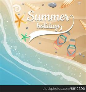 Sea shells, starfish on the beach. Summer holidays. plus EPS10 vector file