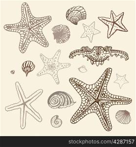 Sea Starfish collection. Hand drawn vector illustration.