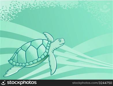 Sea turtle background for page layout or presentations