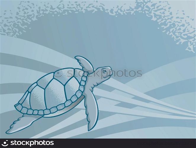 Sea turtle background for page layout or presentations.