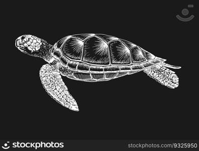 Sea turtle. Hand drawn illustration converted to vector. Vector with animal underwater.