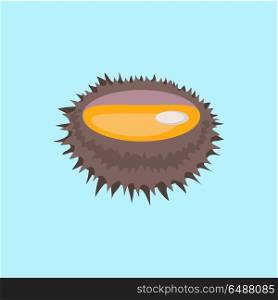 Sea Urchin Vector Flat Design Illustration. Sea urchin vector pattern. Flat style design. Seafood illustration for packaging, logos, and patterns. Healthy eating marine products concept. Cooked sea urchin on blue background.