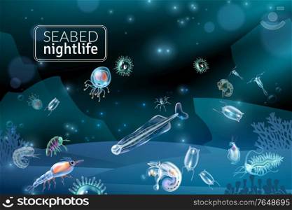 Seabed nightlife underwater scene with reef seaweed coral and plankton characters cartoon vector illustration. Seabed Cartoon Background