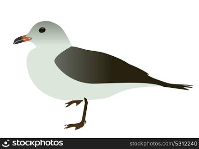 Seabird seagull. Isolated on White background. Vector Illustration. EPS10. Seabird seagull. Isolated on White background. Vector Illustrati