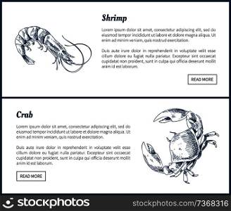 Seafood and crustacean icons vintage illustration. Hand drawn seafood set, decorative icons of shrimp and crab restaurant menu template vector sketch. Seafood and Crustacean Icons Vintage Illustration