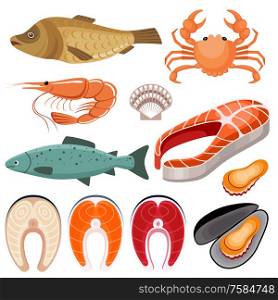 Seafood. Illustration of fish, shrimp, mussels and crab on a white background. Vector flat illustration