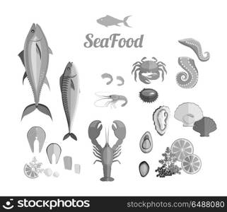 Seafood Set Design Flat Fish and Crab. Seafood set design flat fish and crab. Lobster and food oyster, fresh seafood, shrimp and menu octopus animal, shellfish lemon, fresh seafood vector illustration