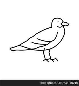seagull bird line icon vector. seagull bird sign. isolated contour symbol black illustration. seagull bird line icon vector illustration