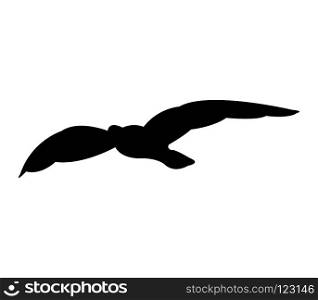 seagull icon