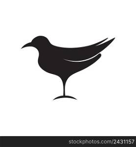 Seagull icon logo vector design