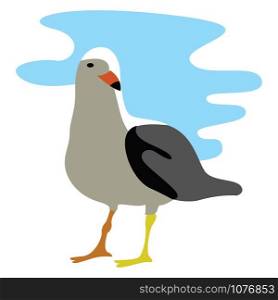 Seagull, illustration, vector on white background.