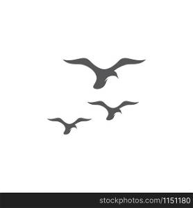 seagull symbol and icon Logo Template vector