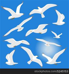 Seagulls isolated on blue background. Vector illustration. Eps 10