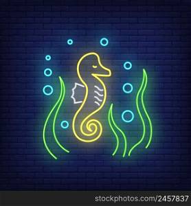 Seahorse neon sign. Sea horse, algae and bubbles. Glowing banner or billboard elements. Vector illustration in neon style for topics like sea life, nature, diving