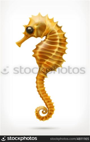 Seahorse, vector icon