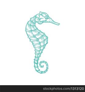 Seahorse vector sketch and thin line art aquatic animal with pencil hatching texture. Oceanairum and tropical aquarium fauna seahorse, underwater marine wildlife, hand drawn icon isolated on white. Sketch seahorse, oceanairum animal art line icon