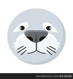 Seal face vector. Flat design. Animal head cartoon icon. Illustration for nature concepts, children s books illustrating, printing materials, web. Funny mask or avatar. Isolated on white background . Seal Face Vector Illustration in Flat Design. Seal Face Vector Illustration in Flat Design