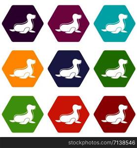 Seal icons 9 set coloful isolated on white for web. Seal icons set 9 vector