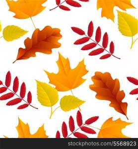 Seamless autumn oak, maple, ash, birch leaves pattern vector illustration