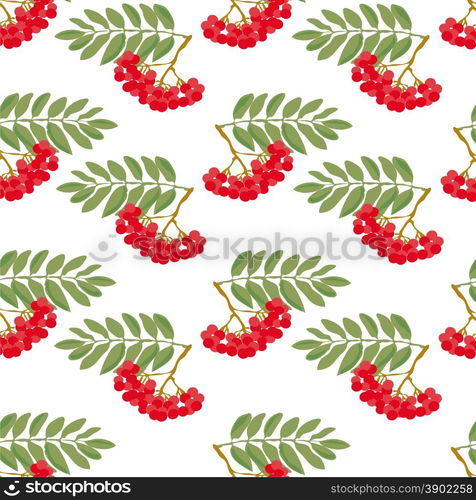 Seamless autumn pattern. A pattern made from the ripe berries of mountain ash and green leaves, on a white background.