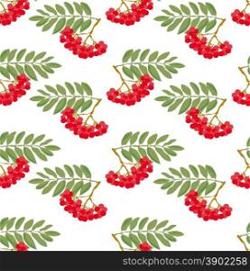 Seamless autumn pattern. A pattern made from the ripe berries of mountain ash and green leaves, on a white background.