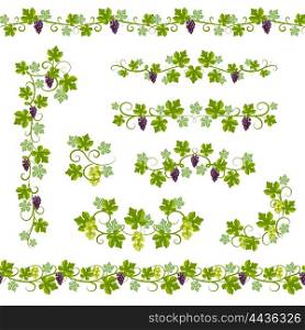 Seamless Background Pattern Vine. Seamless Background Pattern with vine branches and grape elements vector illustration