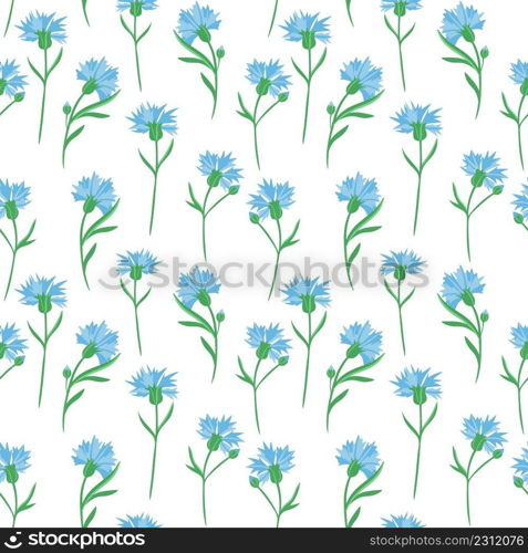 Seamless background with cornflowers. Vector. Delicate solid floral pattern. Blue little wildflowers.. Seamless background with cornflowers. Vector. Delicate solid floral pattern.Blue little wildflowers.