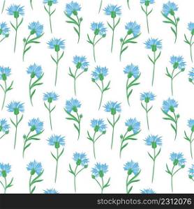 Seamless background with cornflowers. Vector. Delicate solid floral pattern. Blue little wildflowers.. Seamless background with cornflowers. Vector. Delicate solid floral pattern.Blue little wildflowers.
