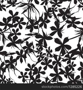 Seamless background with flowers of beautiful hand-drawn silhouette phlox in black and white colors. Vector illustration. Seamless background with flowers of beautiful hand-drawn silhouette phlox