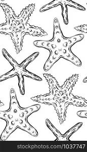 Seamless black and white texture with contour starfishes. Vector pattern for fabrics, backgrounds, wallpapers and your creativity. Seamless black and white texture with contour starfishes.