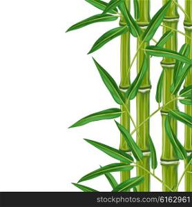 Seamless border with bamboo plants and leaves. Background made without clipping mask. Easy to use for backdrop, textile, wrapping paper.