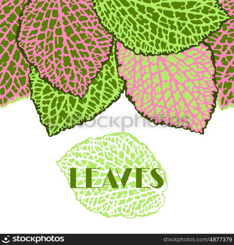 Seamless border with decorative leaves. Natural detailed illustration. Seamless border with decorative leaves. Natural detailed illustration.