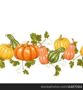 Seamless border with pumpkins. Decorative ornament from vegetables and leaves. Seamless border with pumpkins. Decorative ornament from vegetables and leaves.