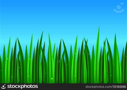 Seamless border with realistic green grass with dew drops. Vector element for your creativity. Seamless border with realistic green grass with dew drops. Vecto