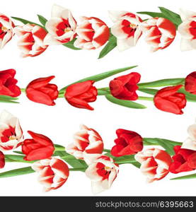 Seamless borders with red and white tulips. Beautiful realistic flowers, buds and leaves. Seamless borders with red and white tulips. Beautiful realistic flowers, buds and leaves.