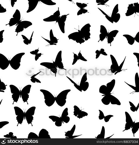 seamless butterfly background isolated on white