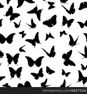 seamless butterfly background isolated on white