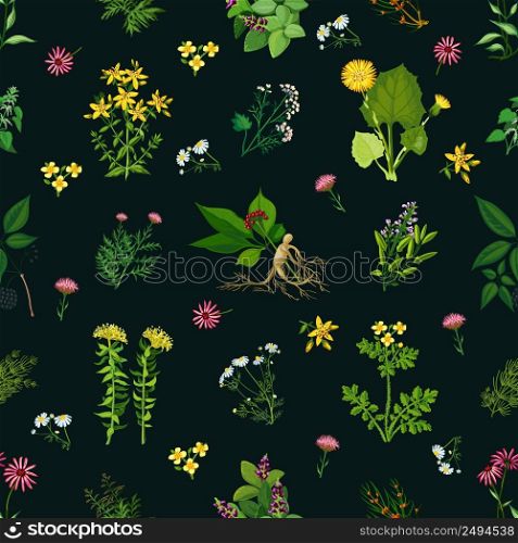 Seamless color pattern with dark background depicting different medicinal herbs vector illustration. Medicinal Herbs Seamless Pattern